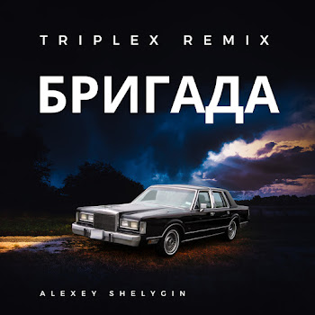 Alexey Shelygin Бригада (Triplex Remix) Скачать mp3