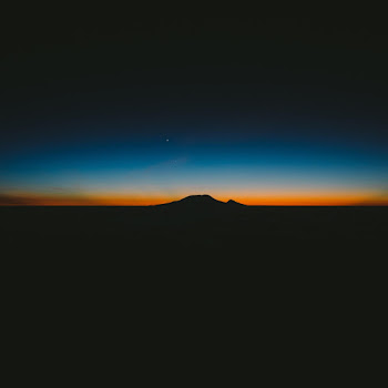 Alivvve Dawn Скачать mp3