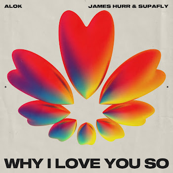 Alok Why I Love You So Ft James Hurr & Supafly Скачать mp3