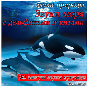 Amadeus Звуки Моря С Дельфинами И Китами: Звуки Природы Скачать mp3