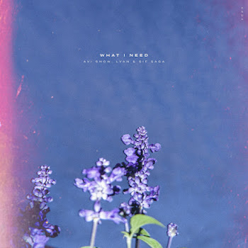 Avi Snow What I Need Ft Lvan & Sif Saga Скачать mp3