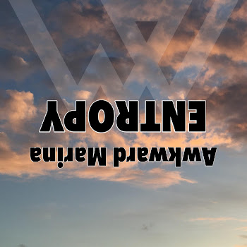 Awkward Marina Entropy (2014 Original) Скачать mp3