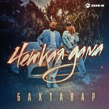 Бахтавар Четкая Дама Скачать mp3