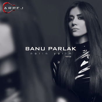 Banu Parlak Narin Yarim (Remix) Скачать mp3