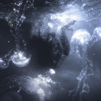 Bladefall Anna Скачать mp3