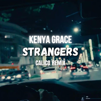 Calico Strangers (Remix) Скачать mp3