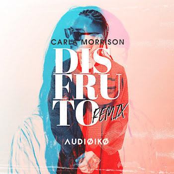 Carla Morrison Disfruto (Audioiko Remix) Скачать mp3