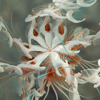 Cassian Dun Dun Скачать mp3