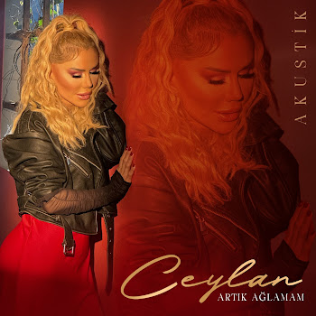 Ceylan Artık Ağlamam (Akustik) Скачать mp3