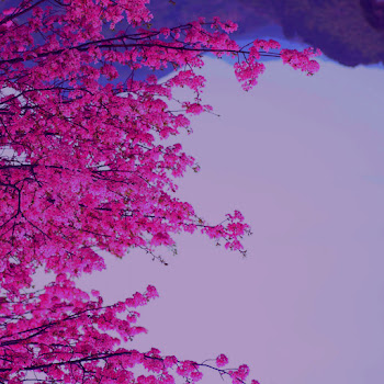 Cubox Losing Interest Ft Shiloh Dynasty Скачать mp3