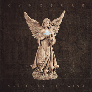 Cynosure Enigma Ii Voices In The Wind Скачать mp3