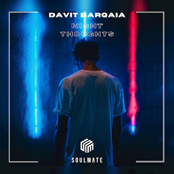 Davit Barqaia Night Thoughts Скачать mp3