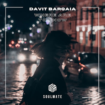 Davit Barqaia Where Are You Now Скачать mp3