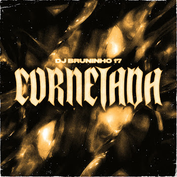 Dj Bruninho 17 Cornetada (Slowed) Ft Mc Neguinho Do Morro Скачать mp3