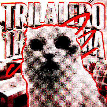 Dj Mrw Trilalero Tralalima Funk Ft Fangz & Dj Anyzz Скачать mp3