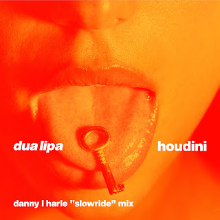 Дуа Липа Houdini (Danny L Harle Slowride Mix) Скачать mp3