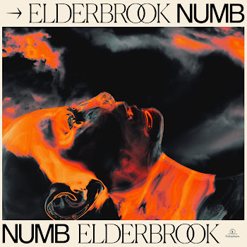 Elderbrook Numb (Chill Mix) Скачать mp3