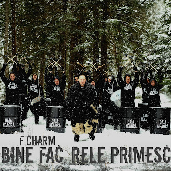 F.charm Bine Fac, Rele Primesc Скачать mp3