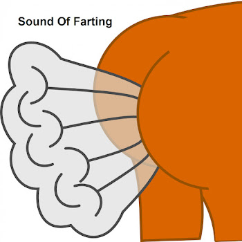 Farting Sounds Пердеж Юк Пукание Ft Звуки Пердежа & Звуки Пукания Скачать mp3
