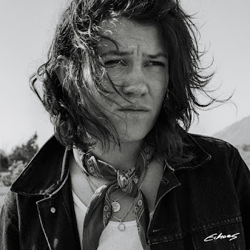 Fay Wildhagen Echoes Скачать mp3