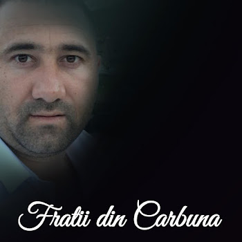 Fratii Din Carbuna Haide Vino Viața Mea Скачать mp3