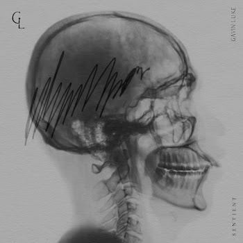 Gavin Luke Sentient Скачать mp3