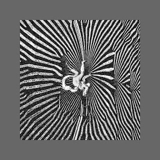 Hijinx Attention ft Cesco Скачать mp3