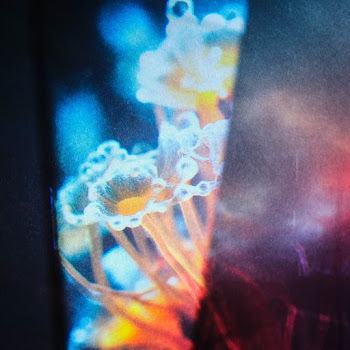 Joris Voorn Flora Ft Jan Blomqvist Скачать mp3