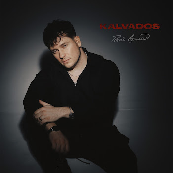 Kalvados Твой Взгляд Скачать mp3