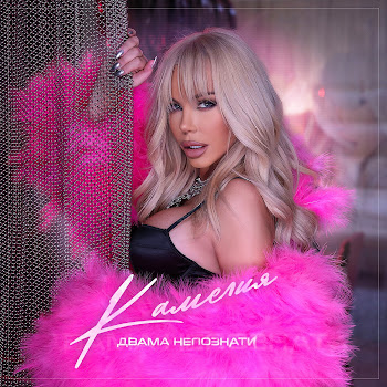 Камелия Двама Непознати Скачать mp3