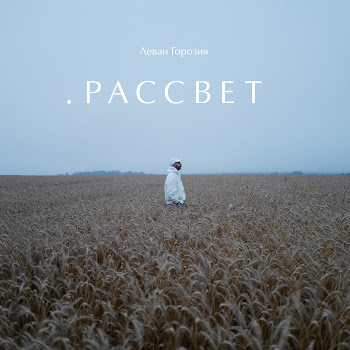 Леван Горозия Не Жалей Скачать mp3