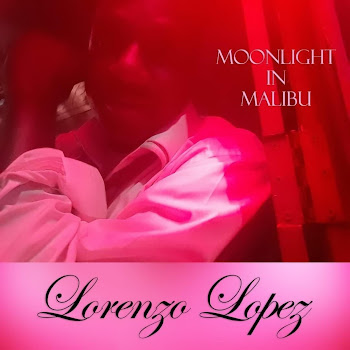 Lorenzo Lopez Catch A Vibe Скачать mp3