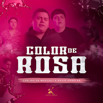 Los Juniors De Mexicali Color De Rosa Ft David Ornelas Скачать mp3
