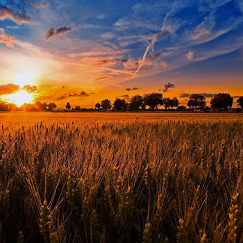 Magdelayna Now We Are Free Скачать mp3