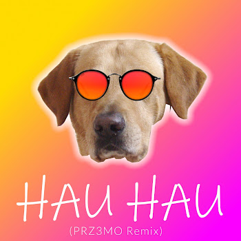 Mallancia Hau Hau (Prz3Mo Remix) Скачать mp3