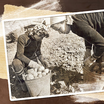 Михаил Водяной Куплеты Попандопуло (Из Кинофильма 