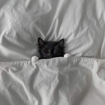 Мія Рамарі Мій Кіт І Я Ft Настя Гонцул Скачать mp3