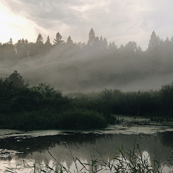 Музыка Для Сна Дождь Скачать mp3