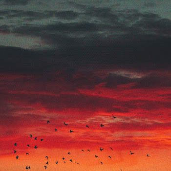 Мюриды Нохчи Назма Йа Аллах1 Дели Скачать mp3