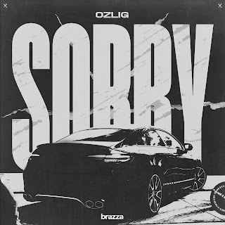 Ozlig Sorry (Extended Mix) Скачать mp3