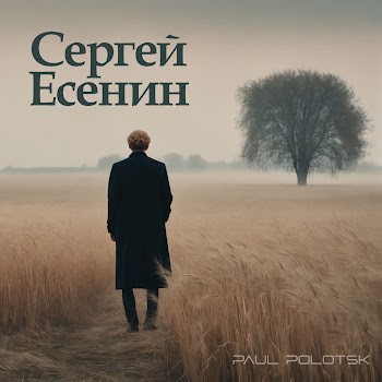 Paul Polotsk Ты Меня Не Любишь, Не Жалеешь Скачать mp3