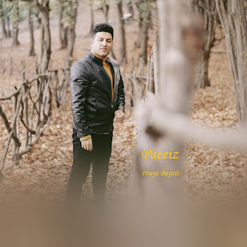 Pouya Bayati Paeeiz Скачать mp3