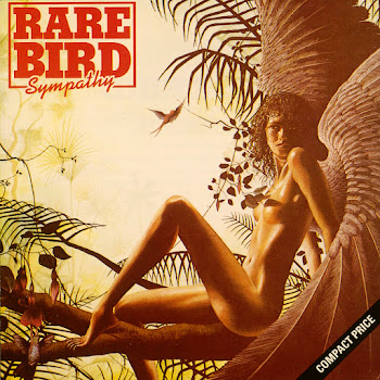 Rare Bird Sympathy Скачать mp3