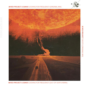 Red Project & Sanoi Looking For Frequency Скачать mp3