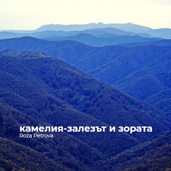 Roza Petrova Камелия-Залезът И Зората Скачать mp3