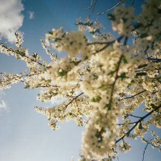 Sadsvit Луги ft Do Sliz Скачать mp3