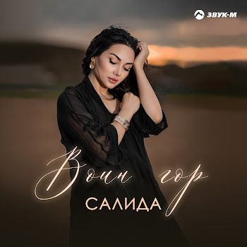 Салида Воин Гор Скачать mp3