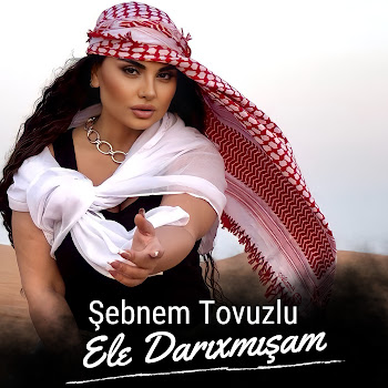 Şebnem Tovuzlu Ele Darıxmışam Скачать mp3