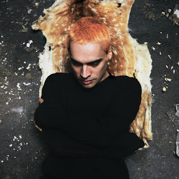 Sega Bodega Elk Skin Скачать mp3