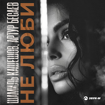 Шамиль Кашешов & Артур Бесаев Не Люби Скачать mp3